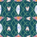 Insect seamless pattern with butterflies and floral ornament. Vector illustration