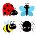 Insect set. Bee bumblebee, butterfly, spider, ladybug ladybird, lady bug. Cute cartoon kawaii baby animal character. Flat design. Royalty Free Stock Photo