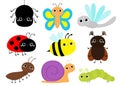 Insect set. Beetle, ladybug ladybird, dragonfly, ant, butterfly, green caterpillar, spider, honey bee, snail. Cute cartoon kawaii Royalty Free Stock Photo