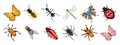 Insect set, butterfly ant dragonfly wasp fly ladybug beetle spider. Zoological icons, decor elements Royalty Free Stock Photo