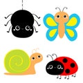 Insect set. Ladybug ladybird, butterfly, spider, lady bug, snail. Cute cartoon kawaii baby animal character. Flat design. White Royalty Free Stock Photo