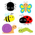Insect set. Ladybug ladybird, green caterpillar, butterfly, spider, honey bee, snail. Cute cartoon kawaii baby animal character. Royalty Free Stock Photo