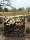 Insect shelter in a public insect garden in natural area