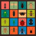 Insect sign set with bug grasshopper spider fly ant cockroach bu Royalty Free Stock Photo