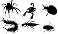 Insect silhouette