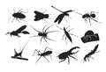 Insect Silhouette Design Element Dragon Fly Ant Spider Beetle Royalty Free Stock Photo