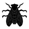 Insect silhouette.fly. Musca domestica. Insect. fly silhouette Vector illustration