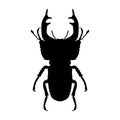 Insect silhouette. stag-beetle. Lucanus cervus. Sketch of stag-beetle. stag-beetle on white background. hand