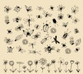 Insect sketch collection for your design Royalty Free Stock Photo