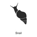 Insect snail vector icon.Black vector icon isolated on white background insect snail . Royalty Free Stock Photo