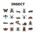 Insect, Spider And Bug Wildlife Icons Set Vector Royalty Free Stock Photo