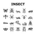 Insect, Spider And Bug Wildlife Icons Set Vector Royalty Free Stock Photo