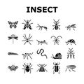 Insect, Spider And Bug Wildlife Icons Set Vector Royalty Free Stock Photo