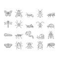 Insect, Spider And Bug Wildlife Icons Set Vector . Royalty Free Stock Photo