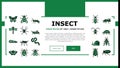 Insect, Spider And Bug Wildlife Landing Header Vector