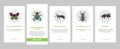 Insect, Spider And Bug Wildlife Onboarding Icons Set Vector Royalty Free Stock Photo