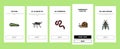 Insect, Spider And Bug Wildlife Onboarding Icons Set Vector Royalty Free Stock Photo