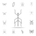 insect stick icon. Detailed set of insects line illustrations. Premium quality graphic design icon. One of the collection icons fo