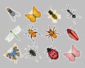 Insect sticker set, butterfly, ant, dragonfly, wasp, ladybug, beetle, spider. Zoological icons, templates, decor elements Royalty Free Stock Photo