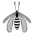 Insect tattoo art .Printable t-shirt design.