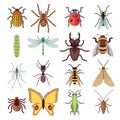 Insect vector flat icons isolated on white background Royalty Free Stock Photo