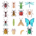 Insect vector flat icons set Royalty Free Stock Photo