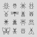 Insect vector thin line icons set