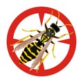 Insect wasp vector icon.Cartoon vector icon isolated on white background insect wasp . Royalty Free Stock Photo