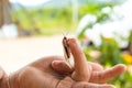 Insect with white hands on the boy. Royalty Free Stock Photo