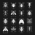 Insect white silhouette with reflection icon set