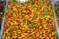 Insect worm, chrysalis, fried chrysalis, fried salt , silkworm, bamboo insect supplement. Royalty Free Stock Photo