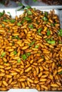 Insect worm, chrysalis, fried chrysalis, fried salt , silkworm, bamboo insect supplement. Royalty Free Stock Photo