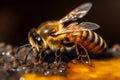 insect yellow background bee gold macro pollen honey flying nature closeup. Generative AI. Royalty Free Stock Photo