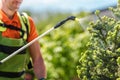 Insecticide Garden Equipment Royalty Free Stock Photo