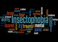 Insectophobia fear of insects word cloud concept 3 Royalty Free Stock Photo