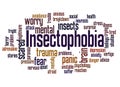 Insectophobia fear of insects word cloud concept Royalty Free Stock Photo