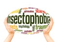 Insectophobia fear of insects word hand sphere cloud concept