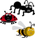 Insectos (vector)