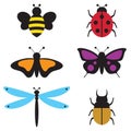 Insects