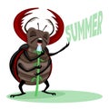 Insect beetle singing a song about summer.