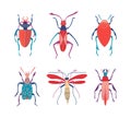 Insects as Hexapod Flying and Crawling Creature with Jointed Legs and Pair of Antennae Vector Set