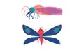 Insects as Hexapod Flying Creature with Jointed Legs and Pair of Antennae Vector Set