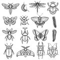 Insects Black White Line Icons Set Royalty Free Stock Photo