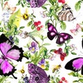 Insects - butterflies, bees, dragonfly in field flowers, summer berries, wild herbs, meadow grass. Seamless background