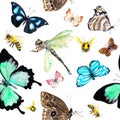 Insects - butterflies, bees, dragonfly. Seamless background with exotic butterfly. Watercolor Royalty Free Stock Photo