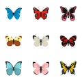 Insects butterflies icons set, flat style