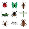 Insects collection set isolated animal white background