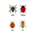 Insects colorful flat icons set Royalty Free Stock Photo