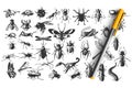 Insects doodle set