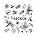 Insects doodle set
